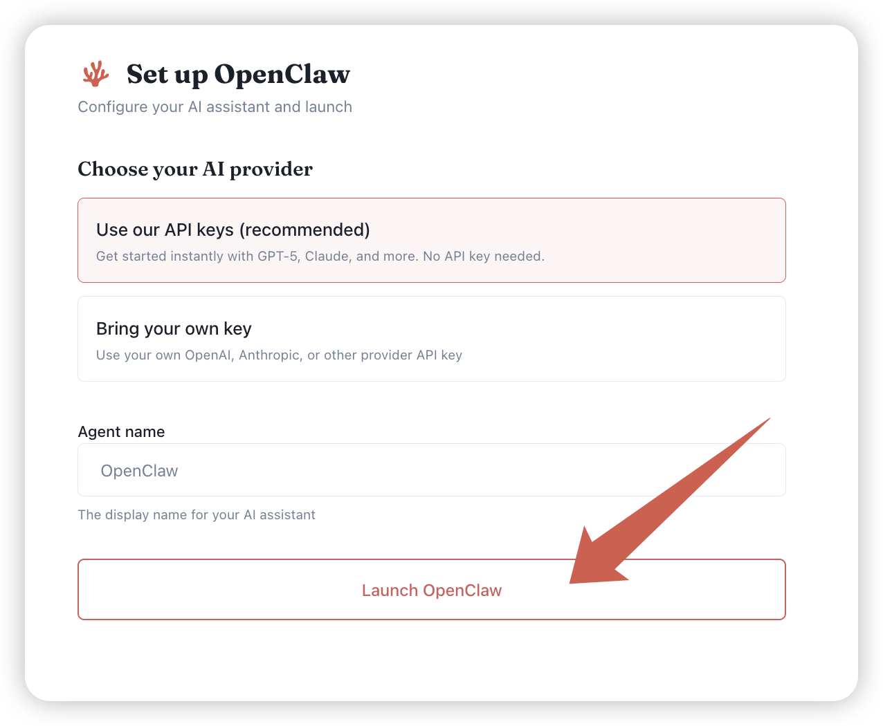 Setup wizard — choose your AI provider and launch